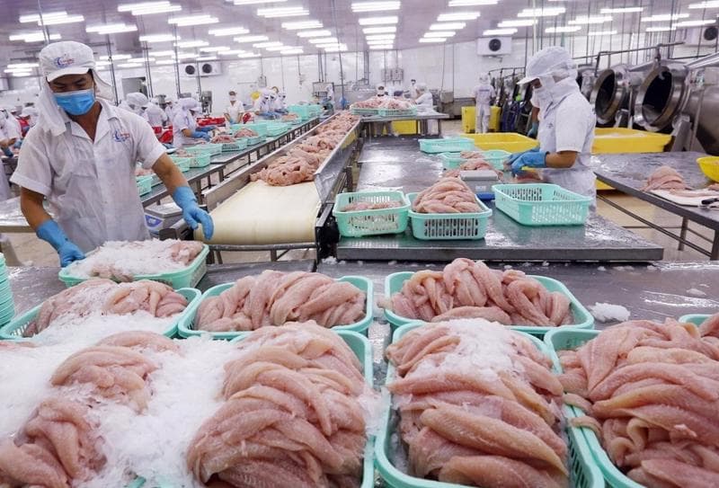 Tin tức xuất nhập khẩu